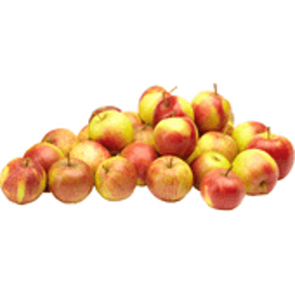 appel, jonagold, kilo