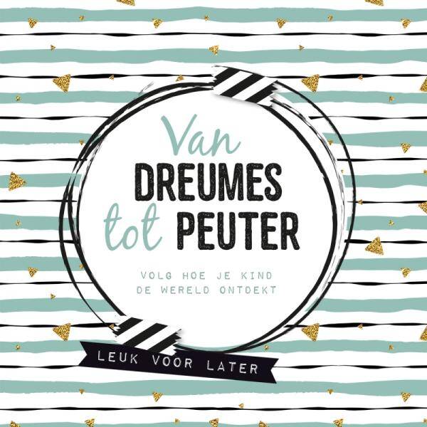 Lantaarn van dreumes tot peuter invulboek