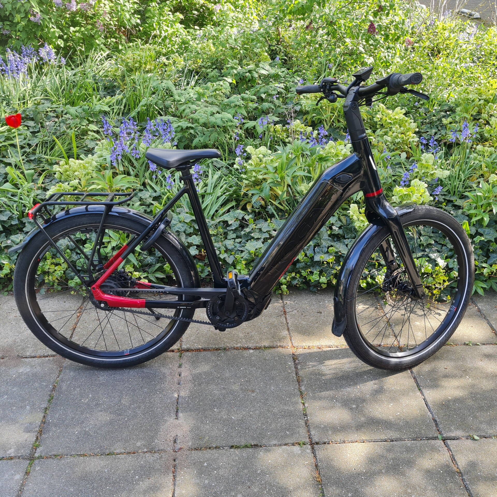 Occasion: Koga Pace B10 57cm/Enviolo/Bosch Perf line smart/750Wh/bj2023