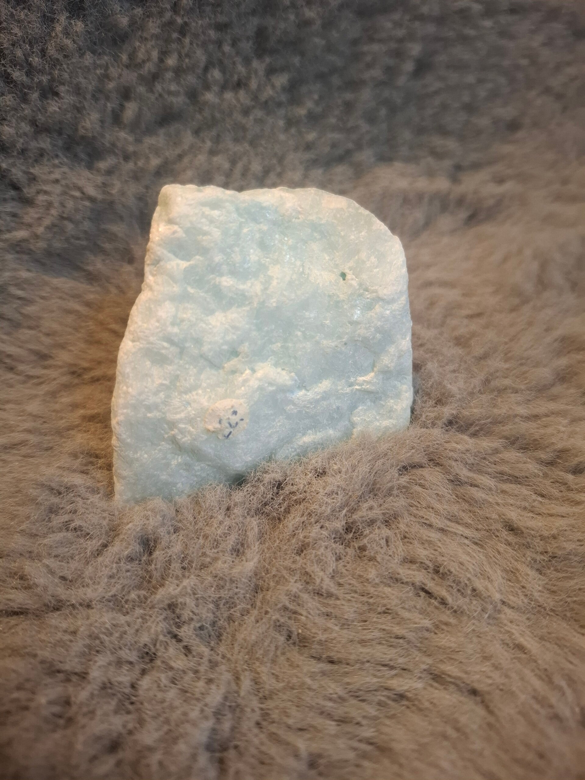 Ruwe caribean calciet
