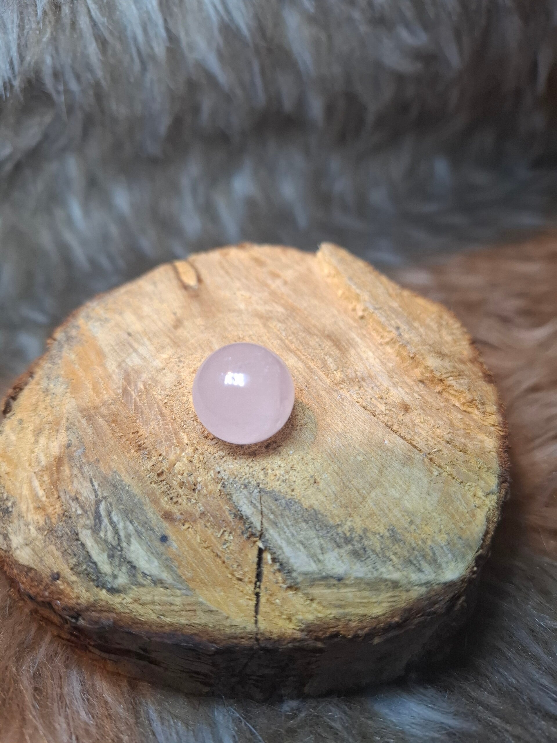 Rozenkwarts bolletje