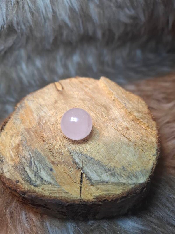 Rozenkwarts bolletje