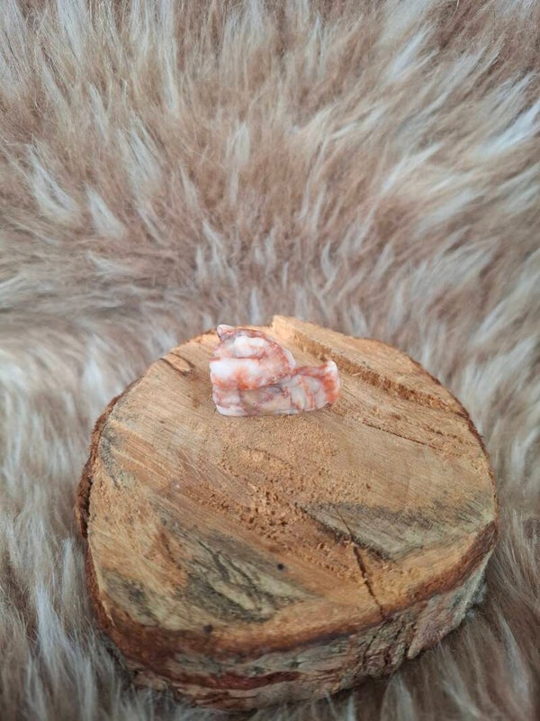 Red vane draakje