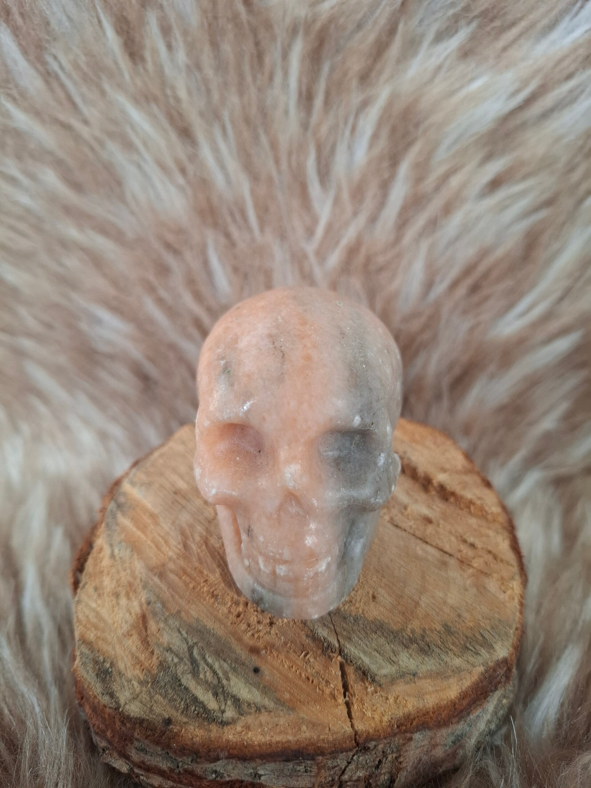 Zonnesteen skull