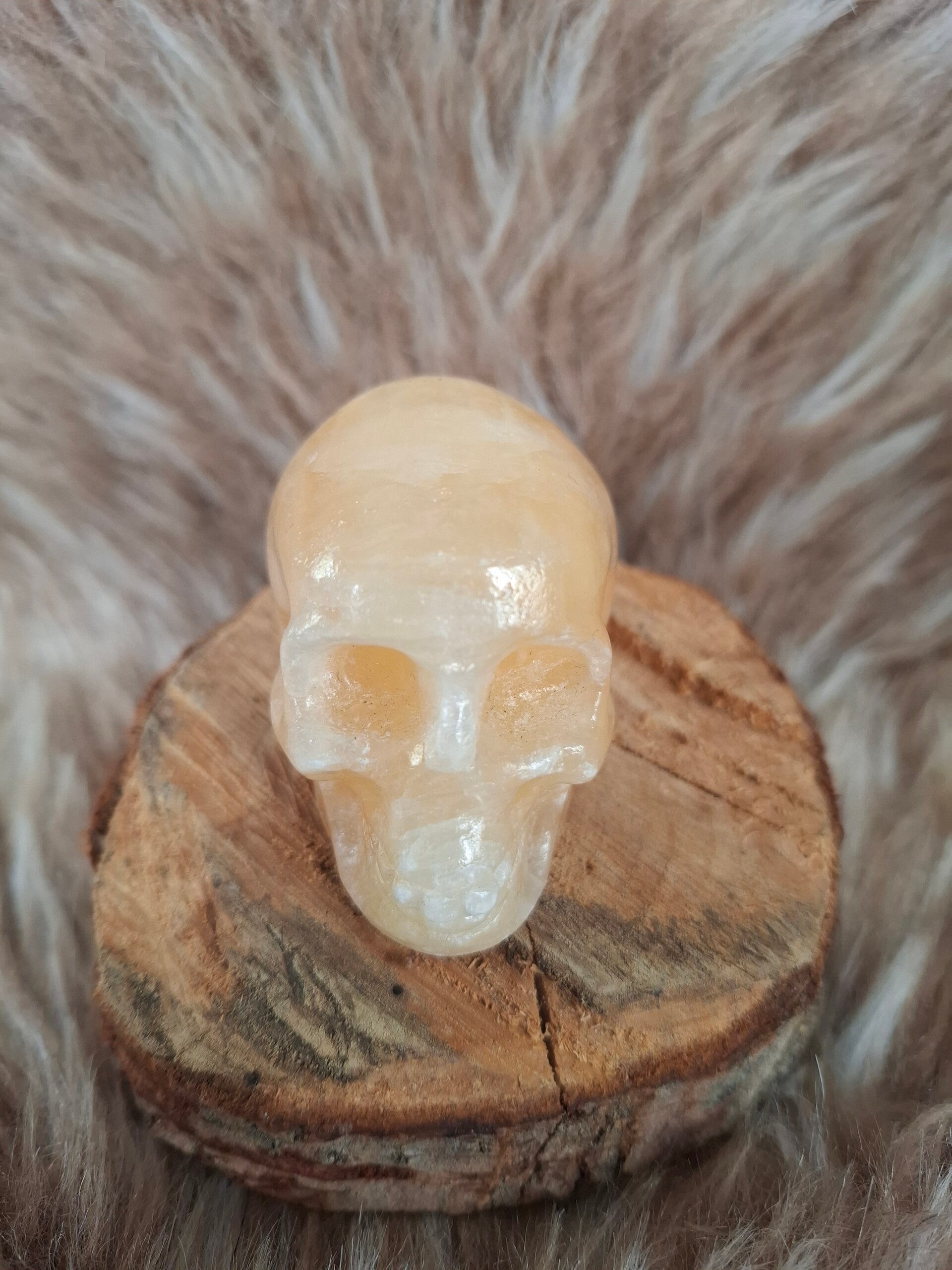 Gele calciet skull