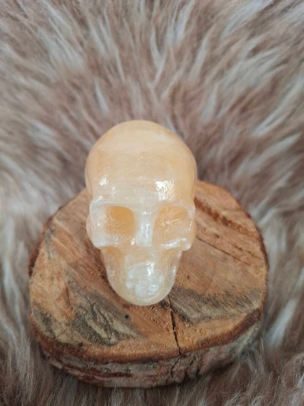 Gele calciet skull