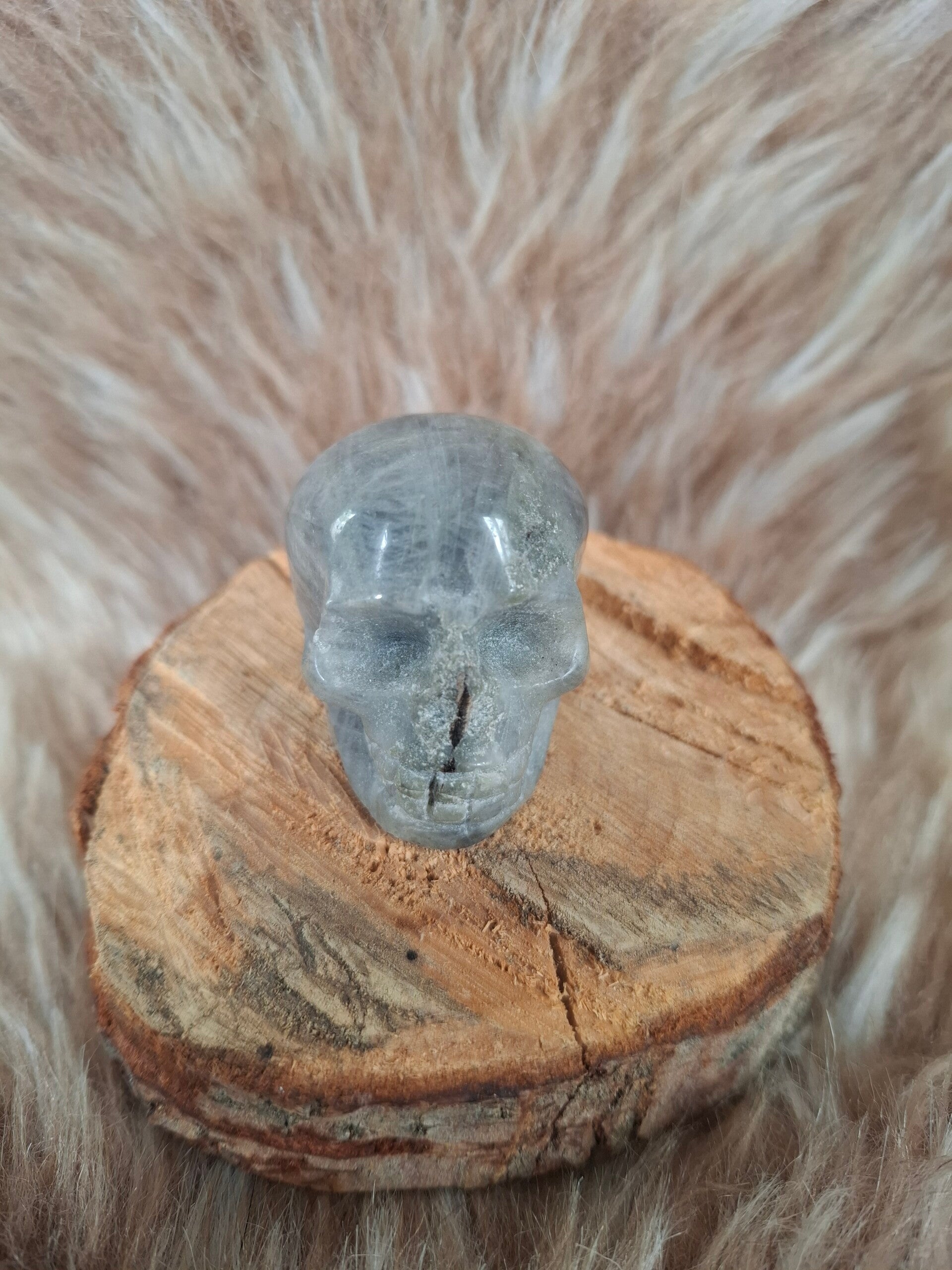 Labradoriet skull