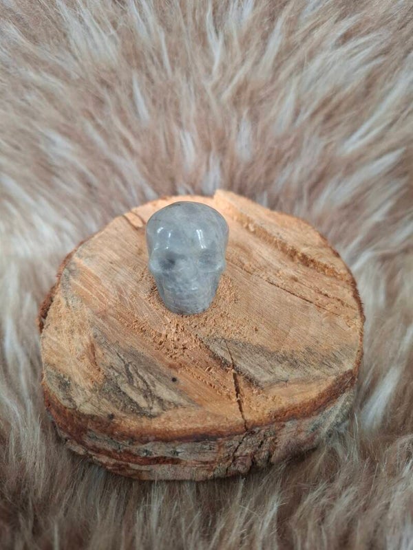 Labradoriet skull