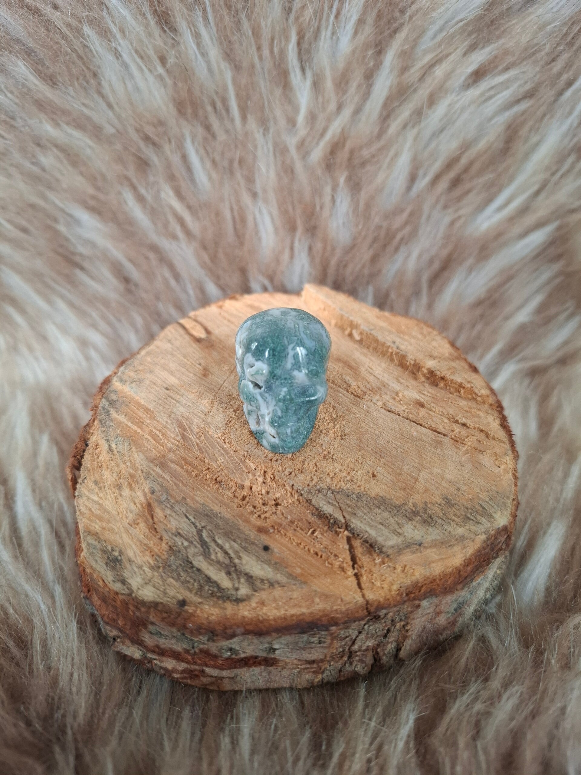 Mosagaat skull