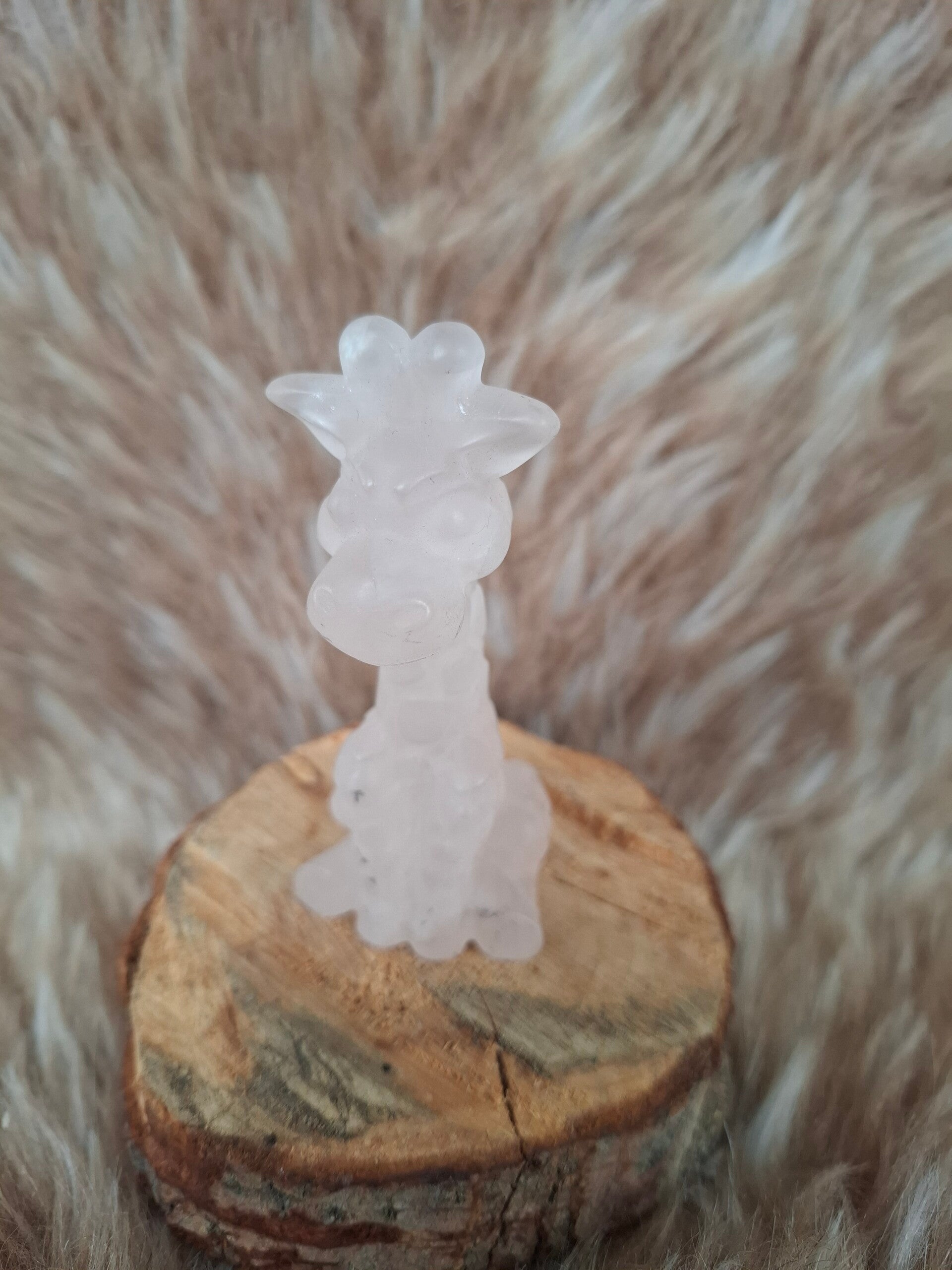 Rozenkwarts giraffe