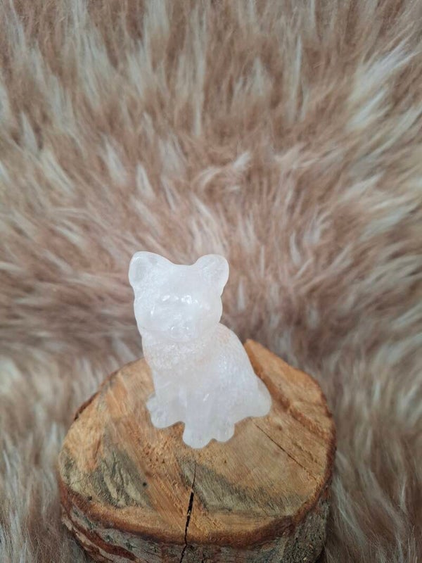 Poes/kat bergkristal