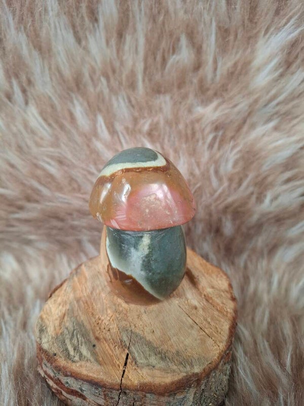 Polychroom jaspis paddestoel