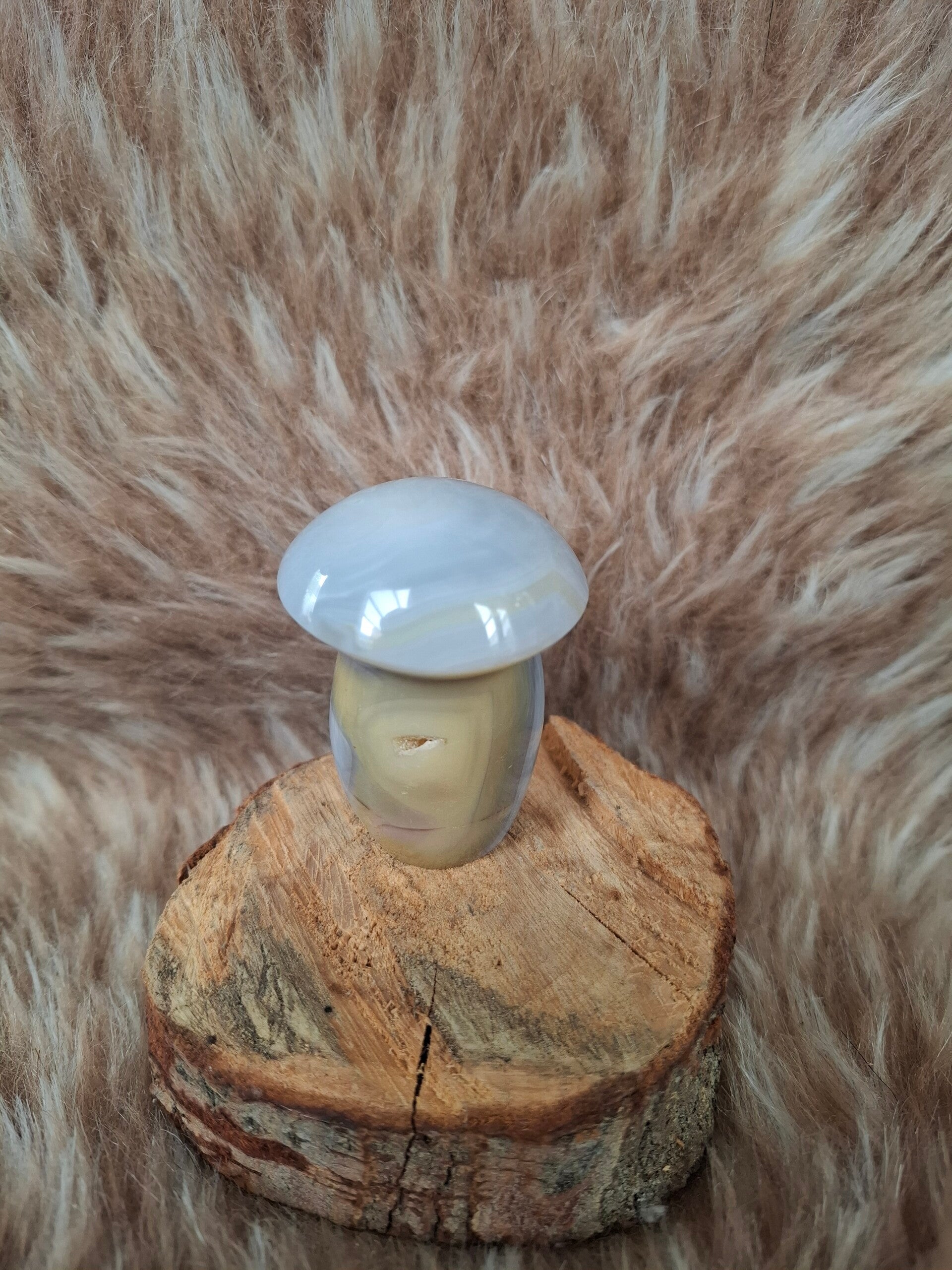 Agaat paddestoel