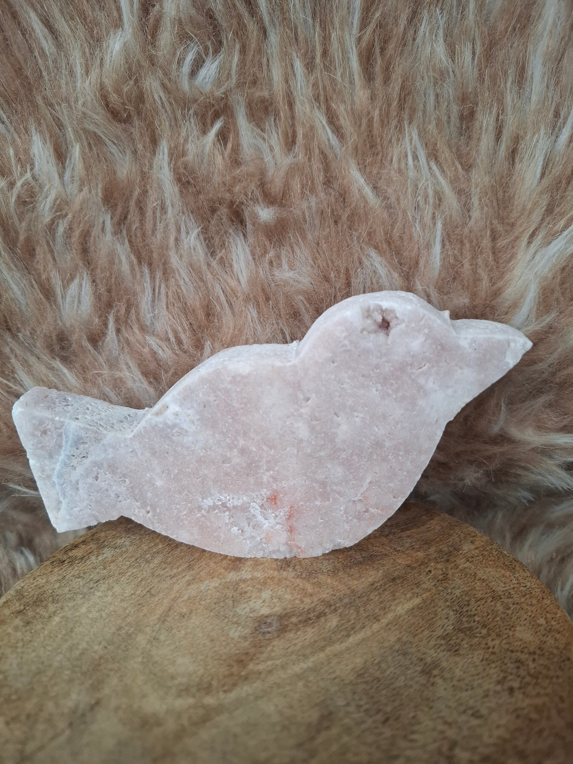 Roze amethist vogel