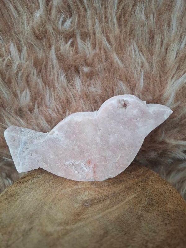 Roze amethist vogel