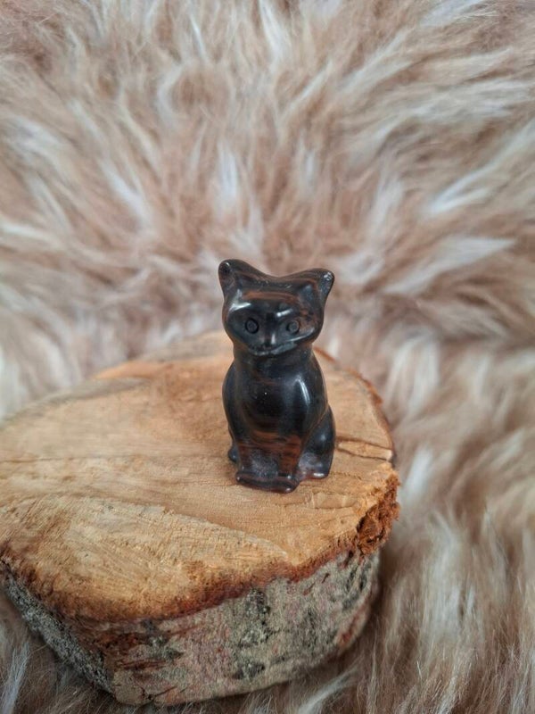 Mahonie Obsidiaan kat