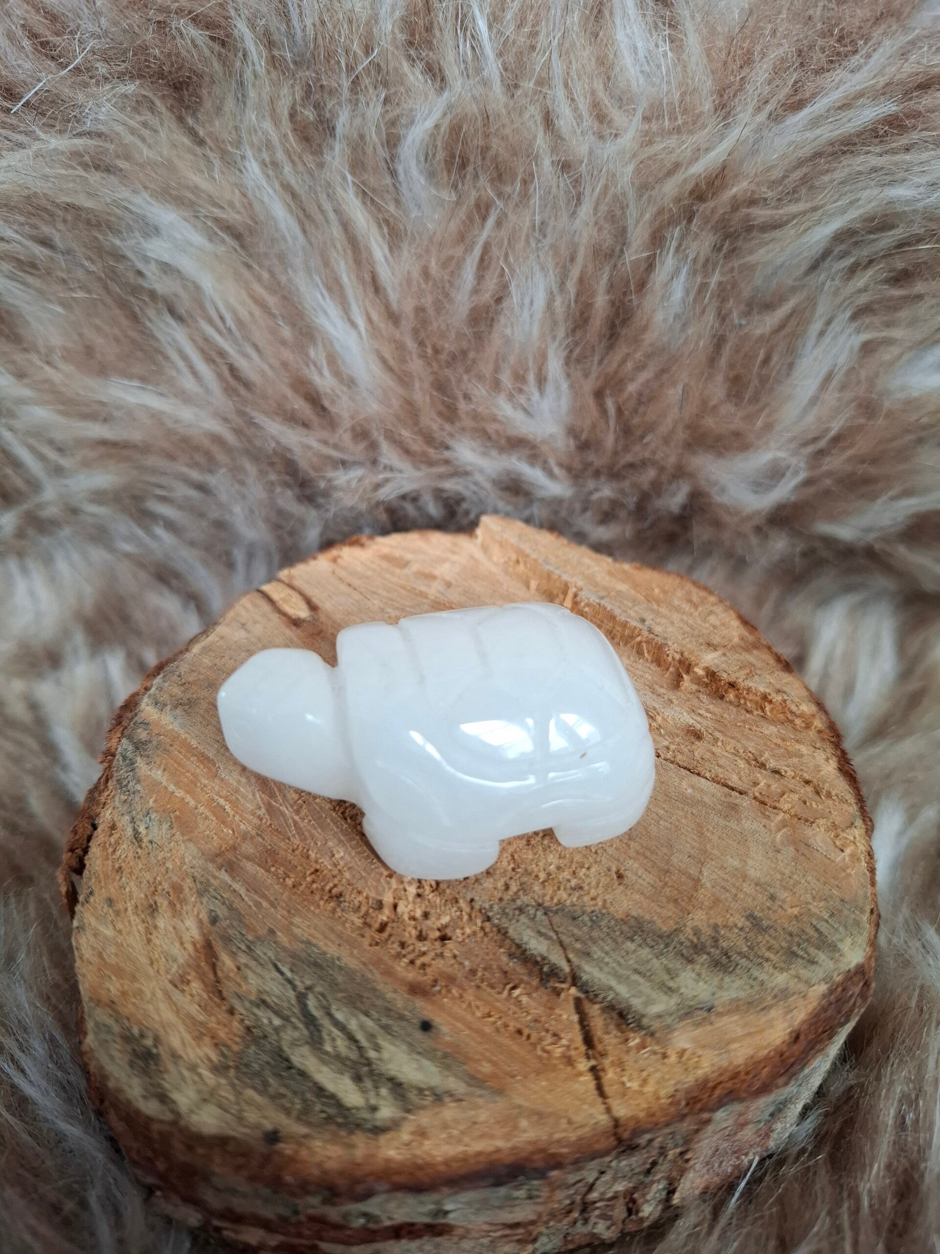 Witte jade schildpad