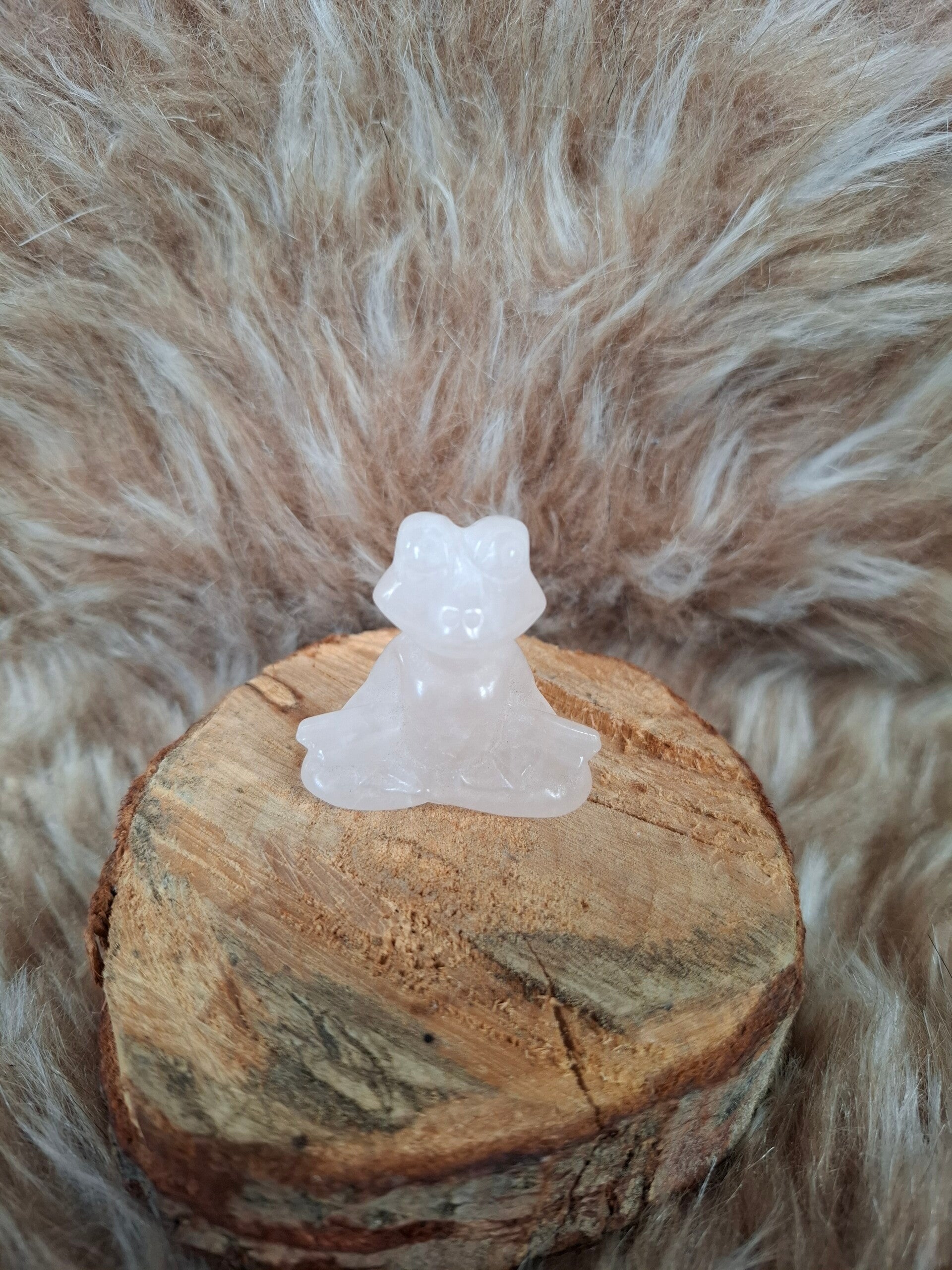 Rozenkwarts kikker