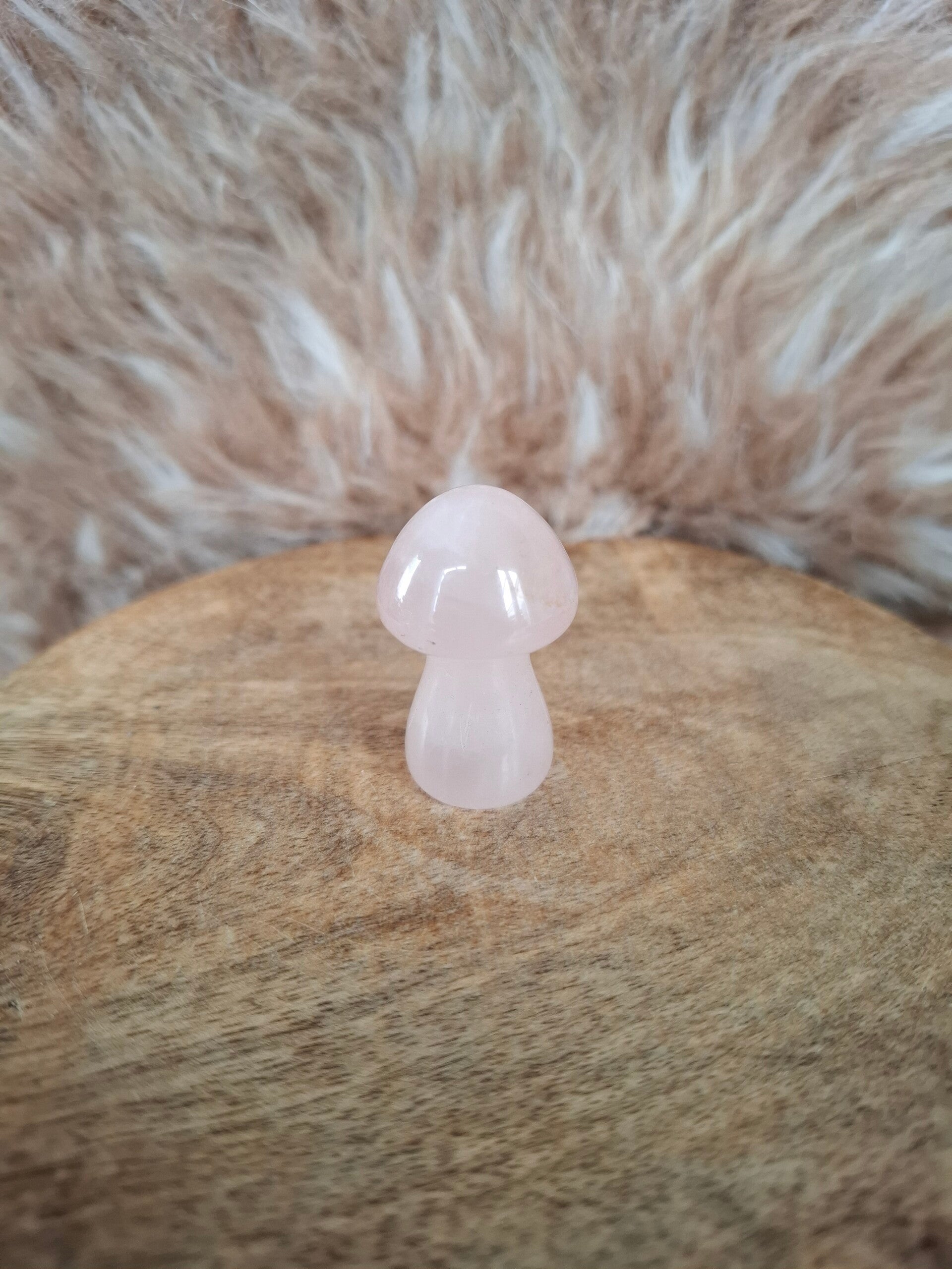 Rozenkwarts paddestoel