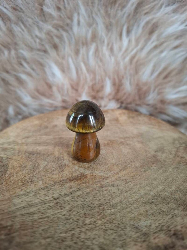 Tijgeroog paddestoel