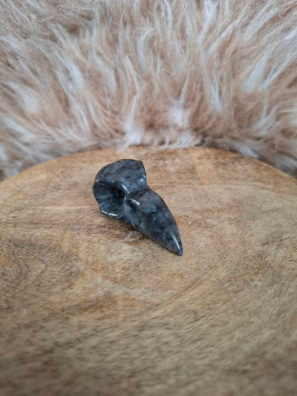 Larvikiet ravenskull