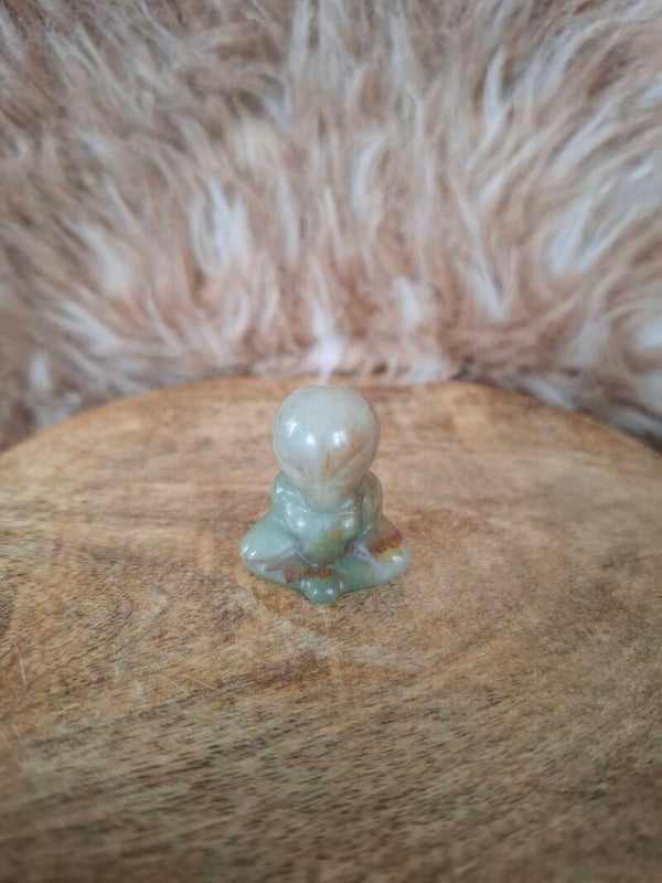 Amazoniet alien