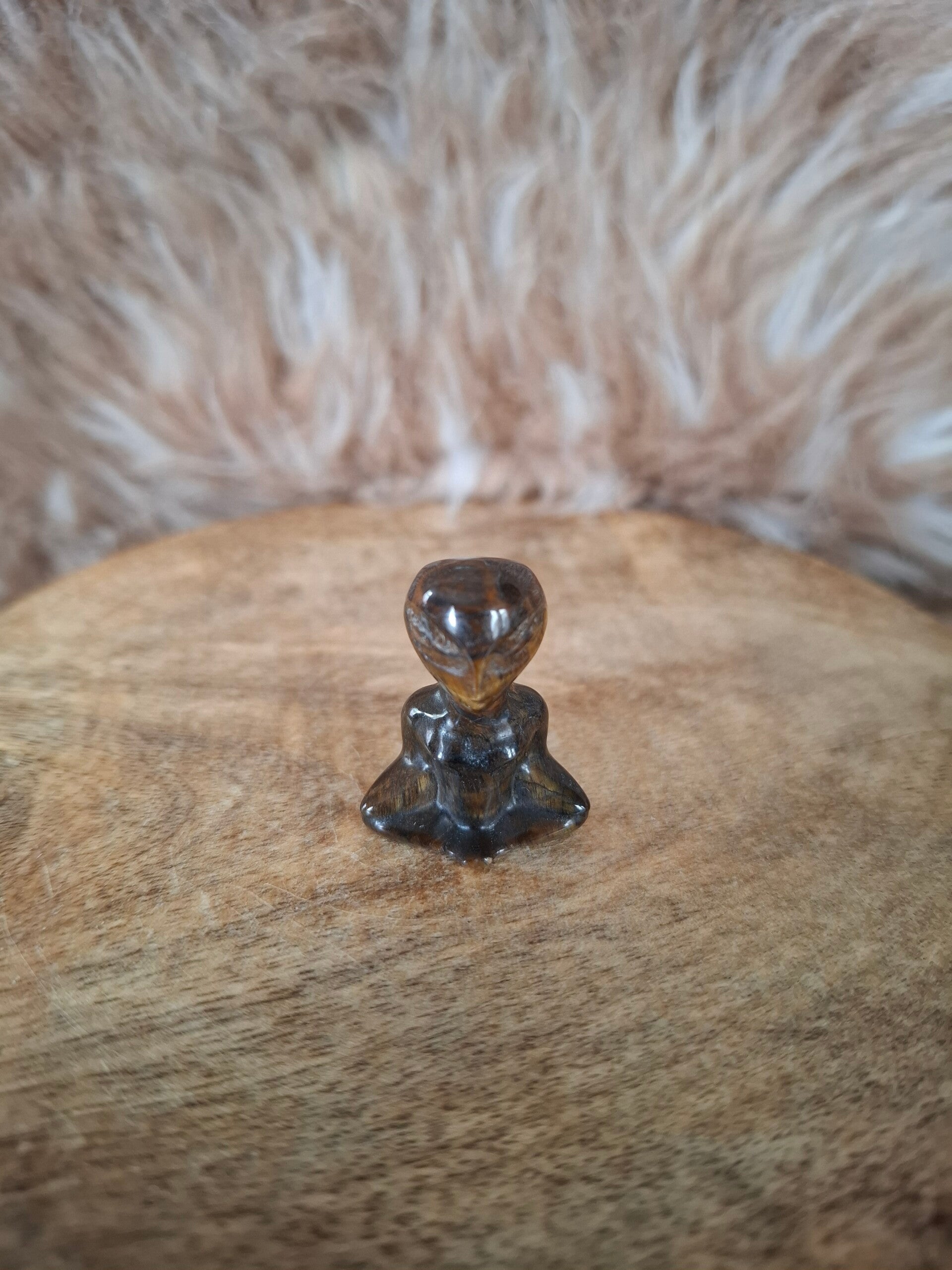 Tijgeroog Alien
