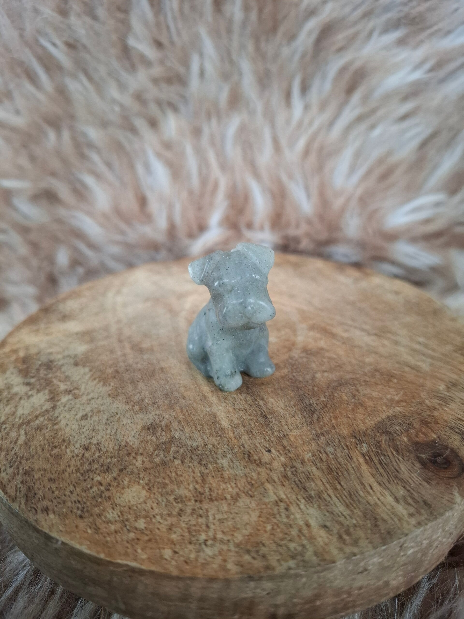 Labradoriet schnautzer