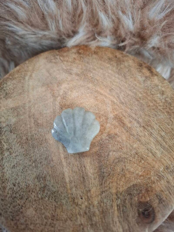Labradoriet schelp