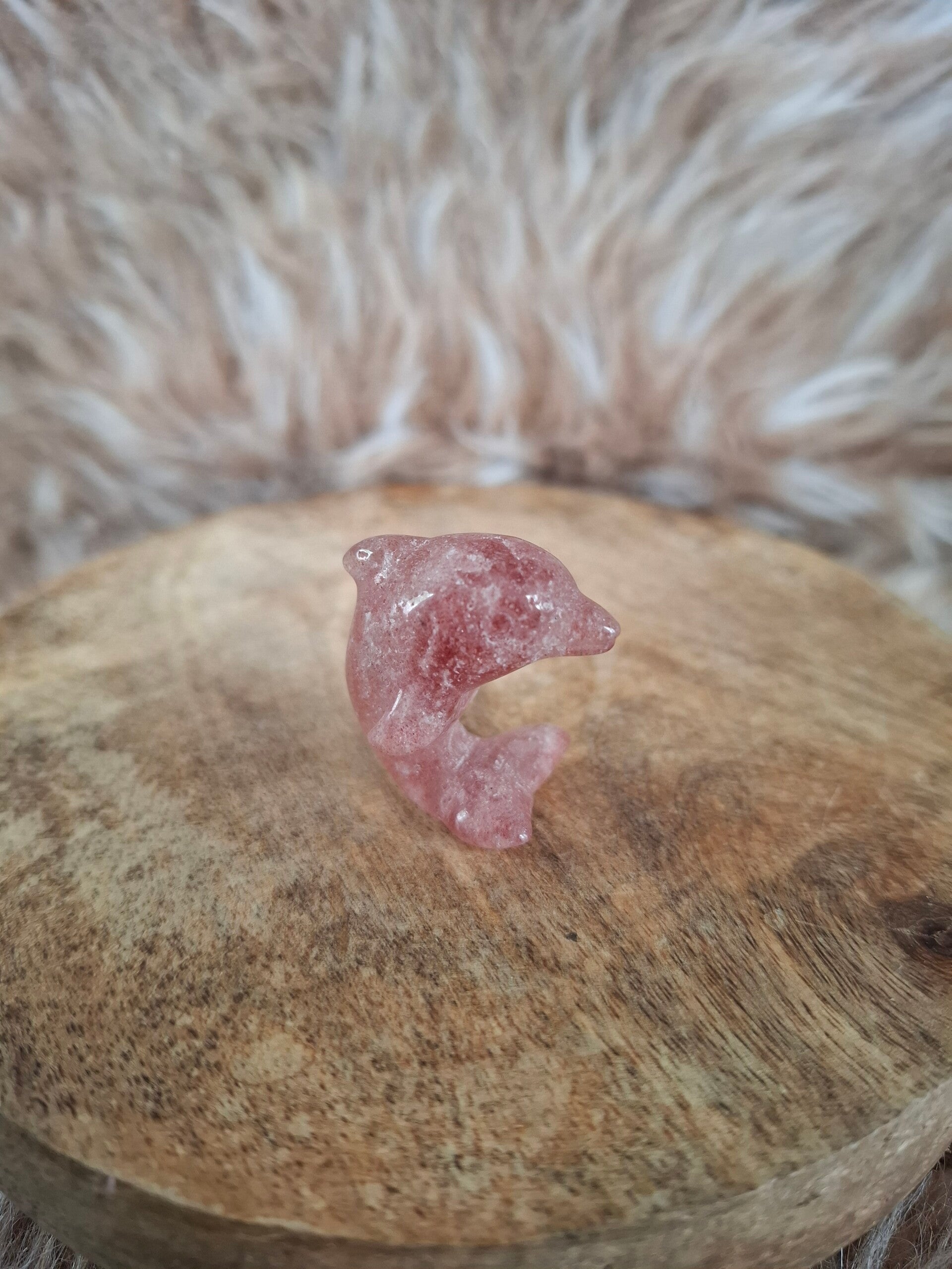 Aardbeienkwarts dolfijn