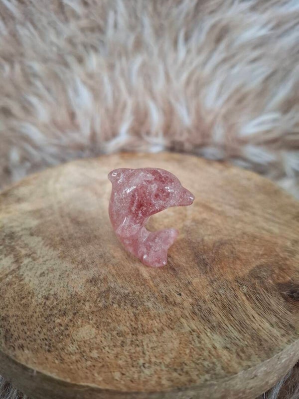 Aardbeienkwarts dolfijn