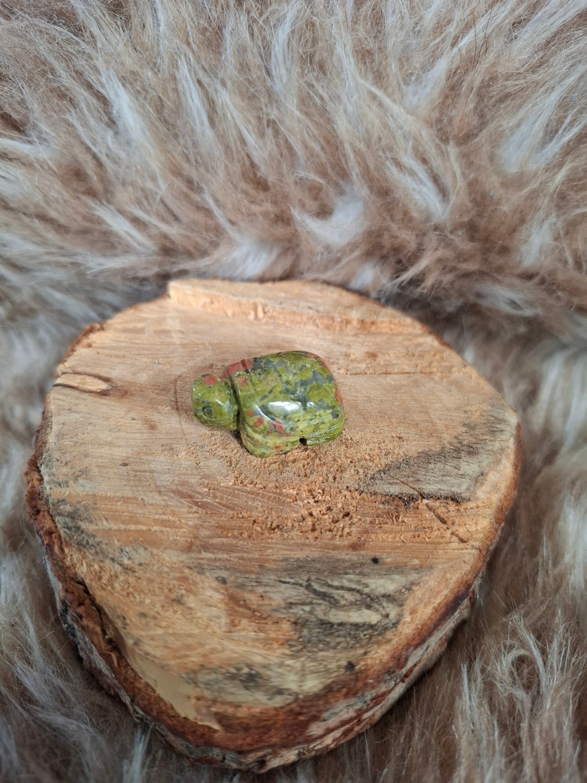 Unakiet schildpad