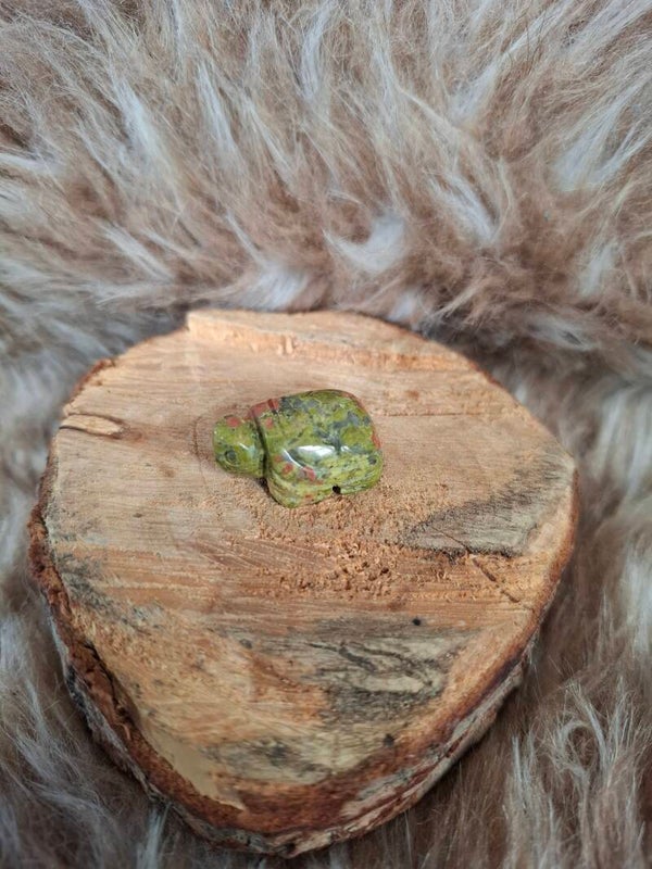 Unakiet schildpad
