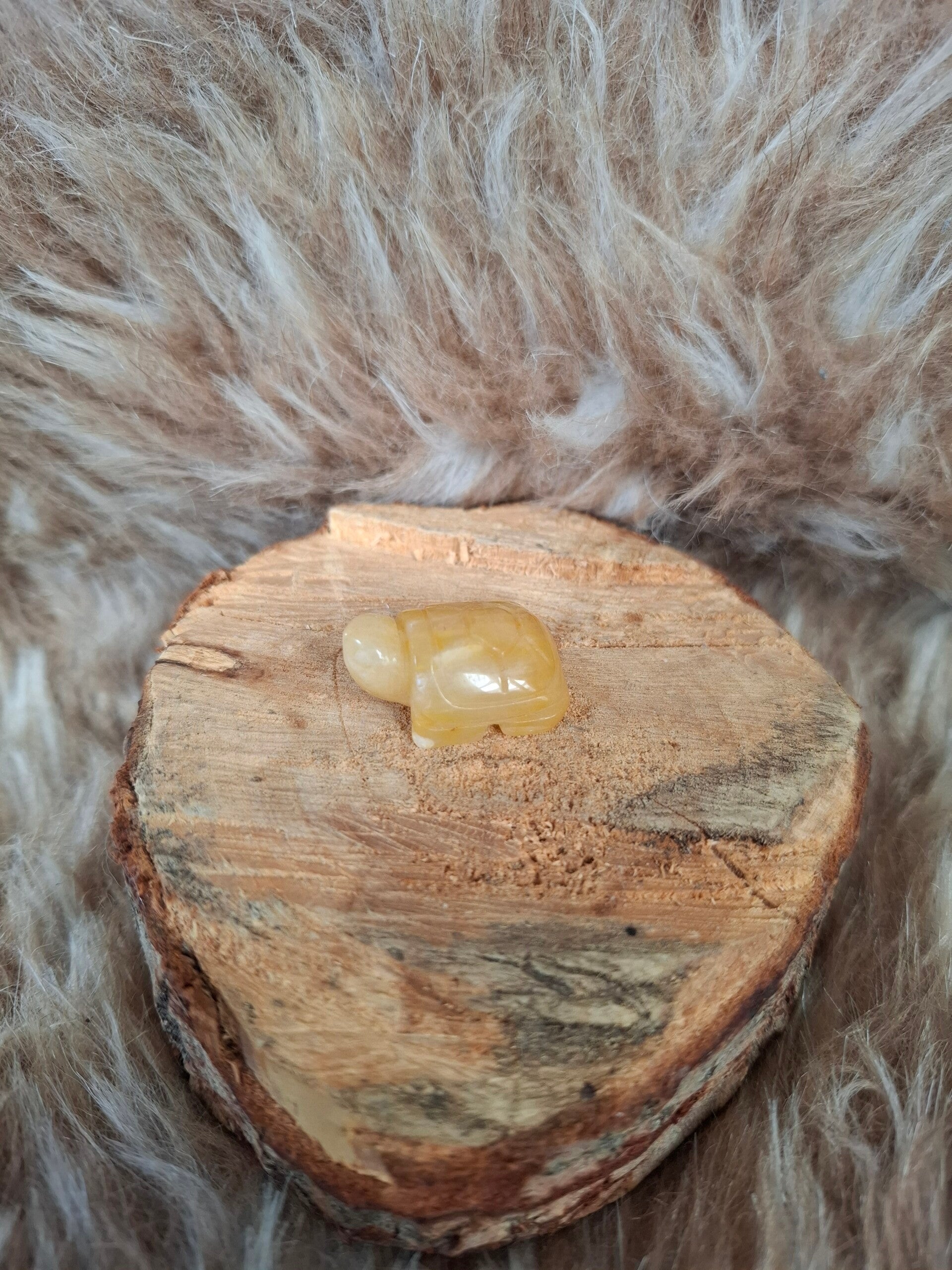 Gele aventurijn schildpad