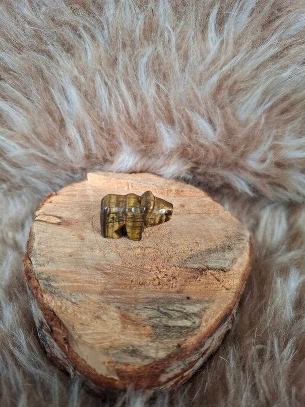 Tijgeroog beertje