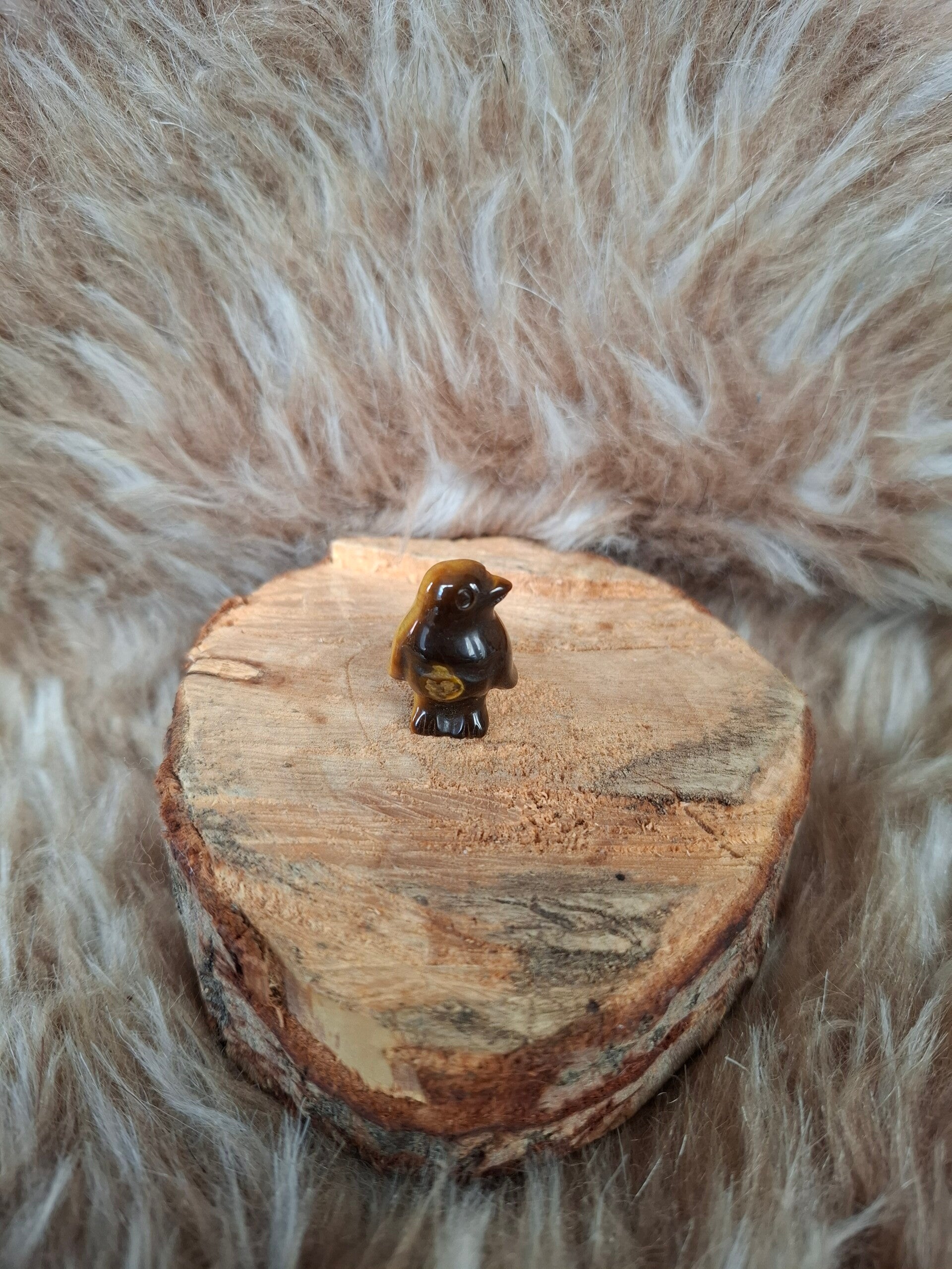 Tijgeroog pinguïn