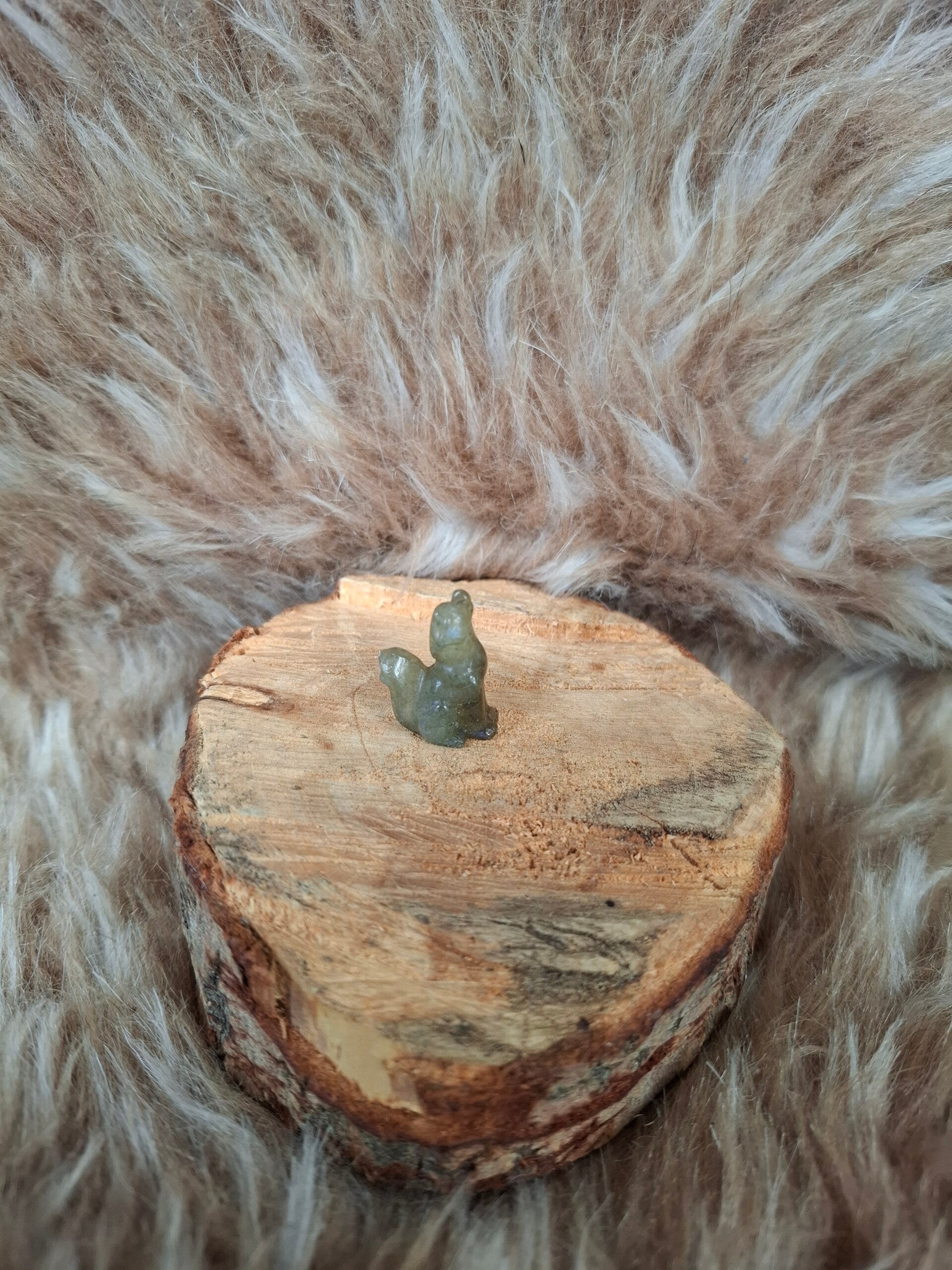 Labradoriet mini wolf