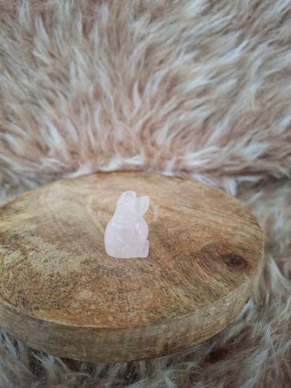 Rozenkwarts hondje