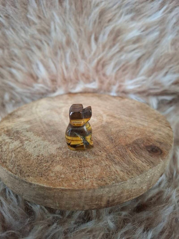 Tijgeroog hondje
