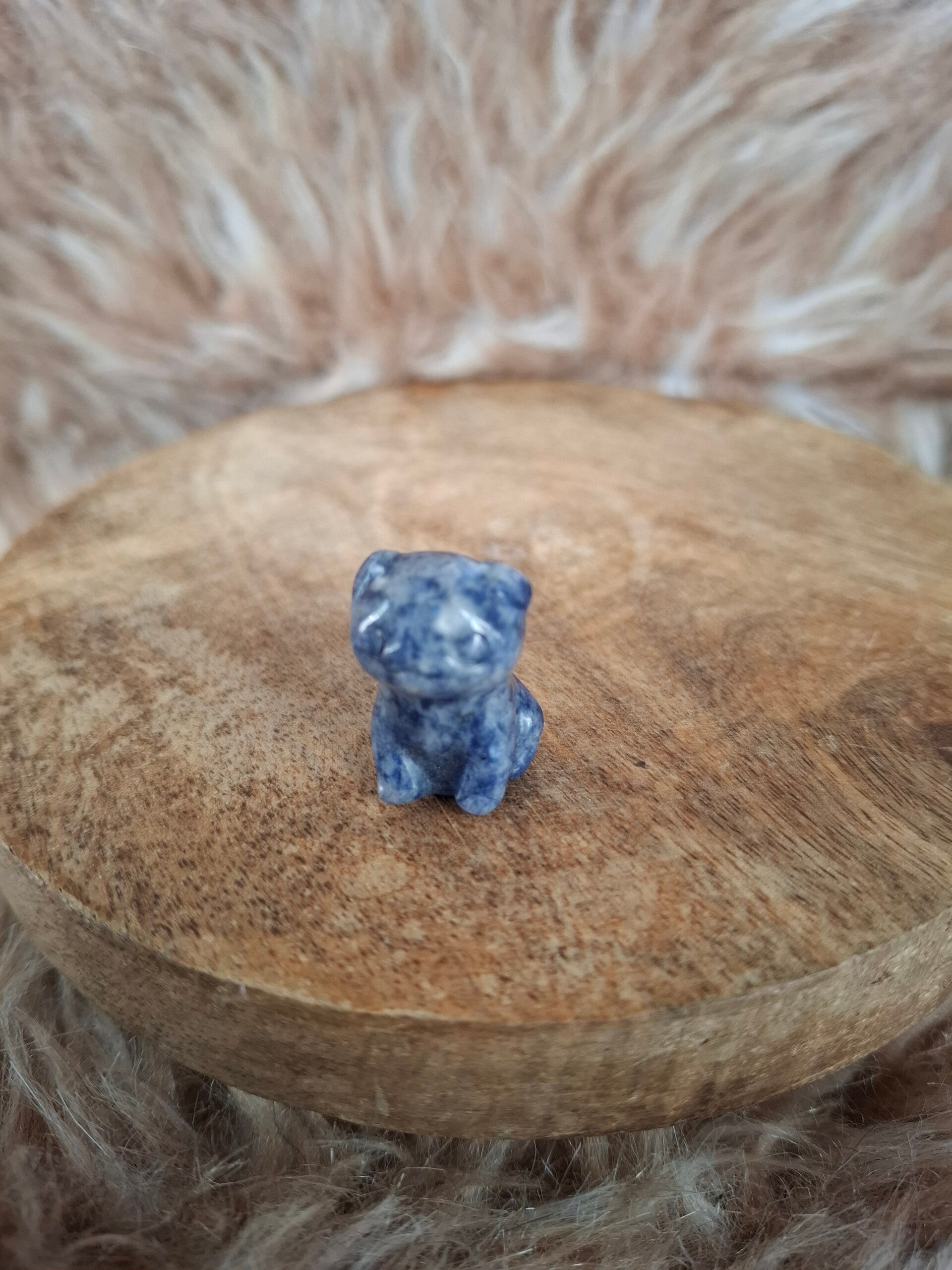 Sodaliet mops hondje