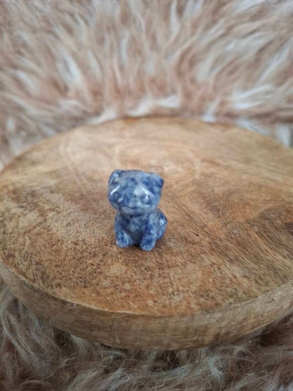 Sodaliet mops hondje