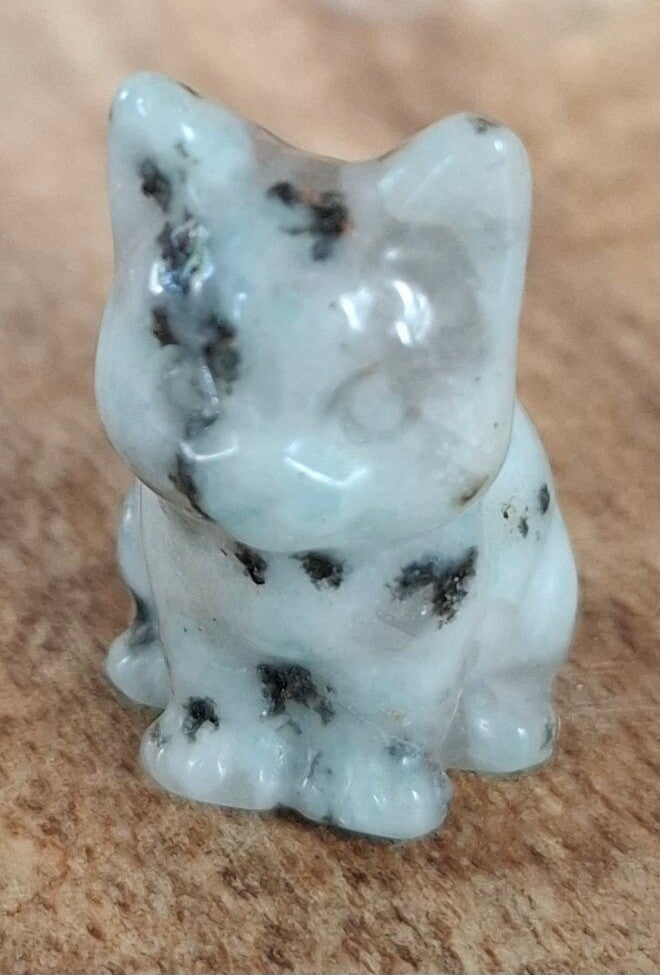 Kiwi jaspis mini kat