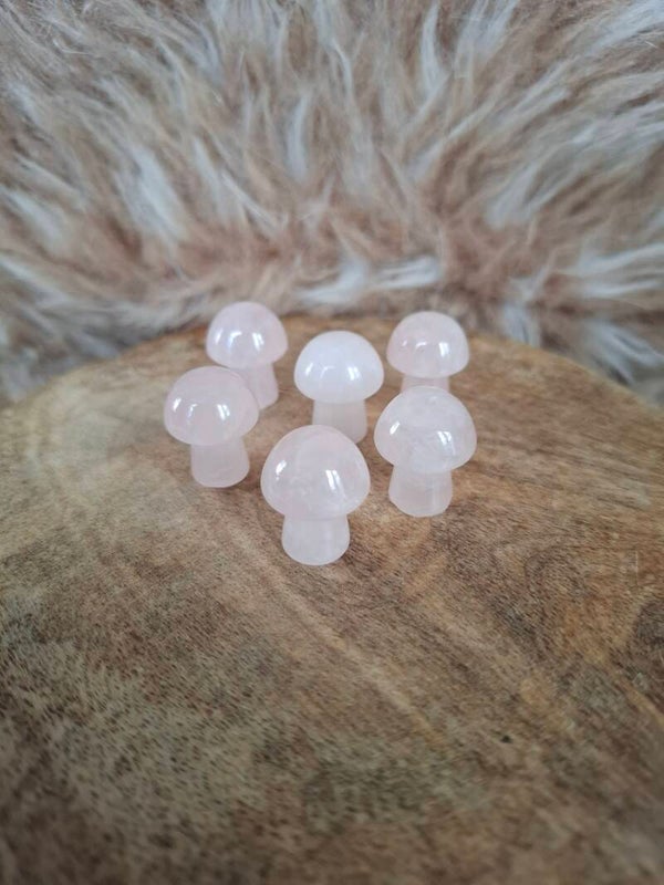 Rozenkwarts paddestoel mini