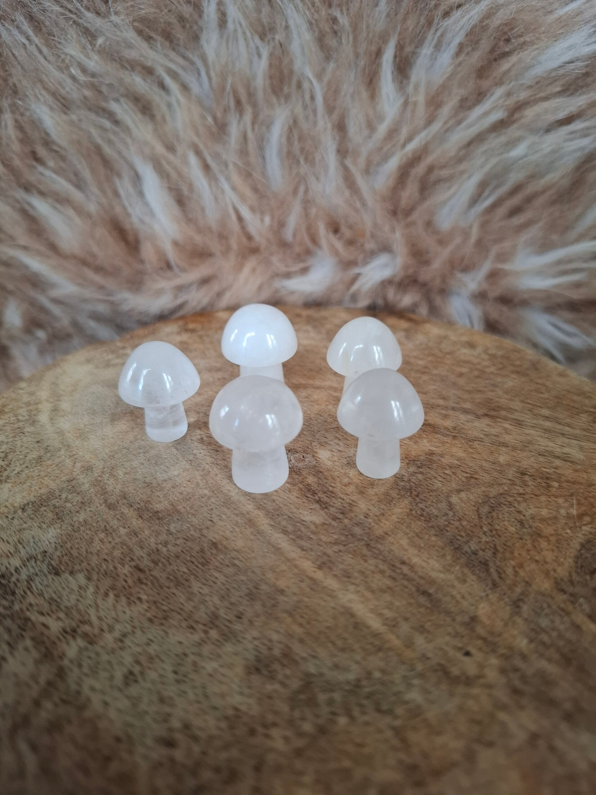 Bergkristal paddestoel mini