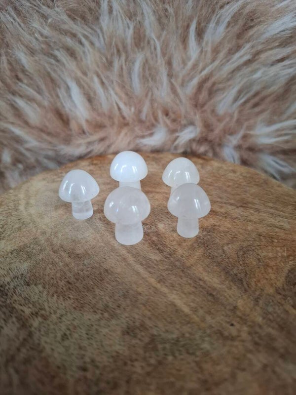 Bergkristal paddestoel mini