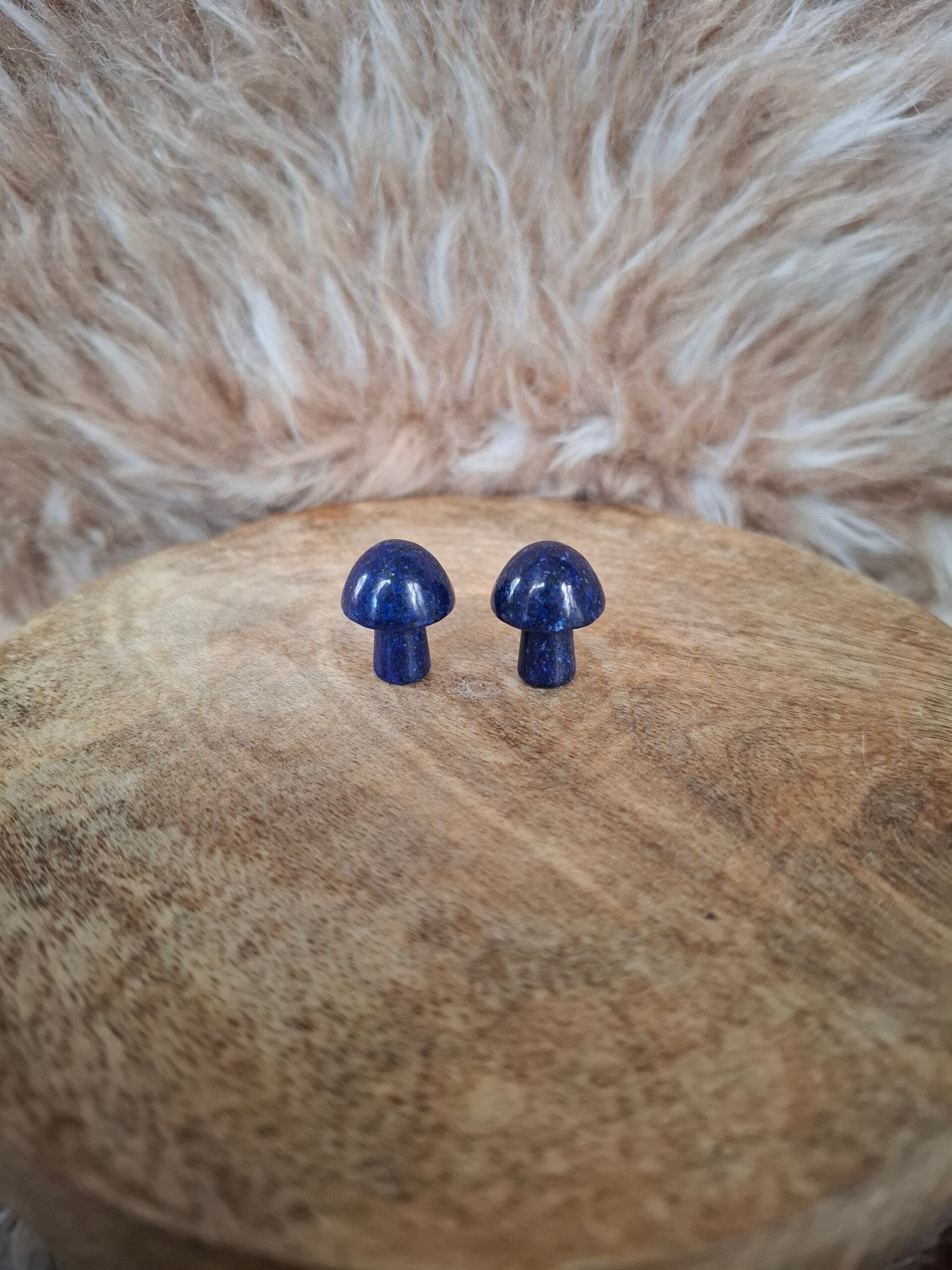 Lapis lazuli paddestoel mini