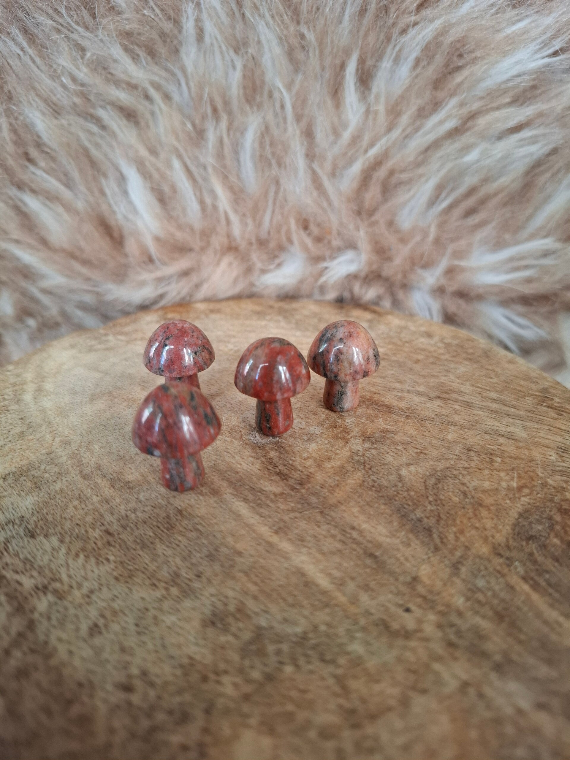Breccie jaspis paddestoel mini
