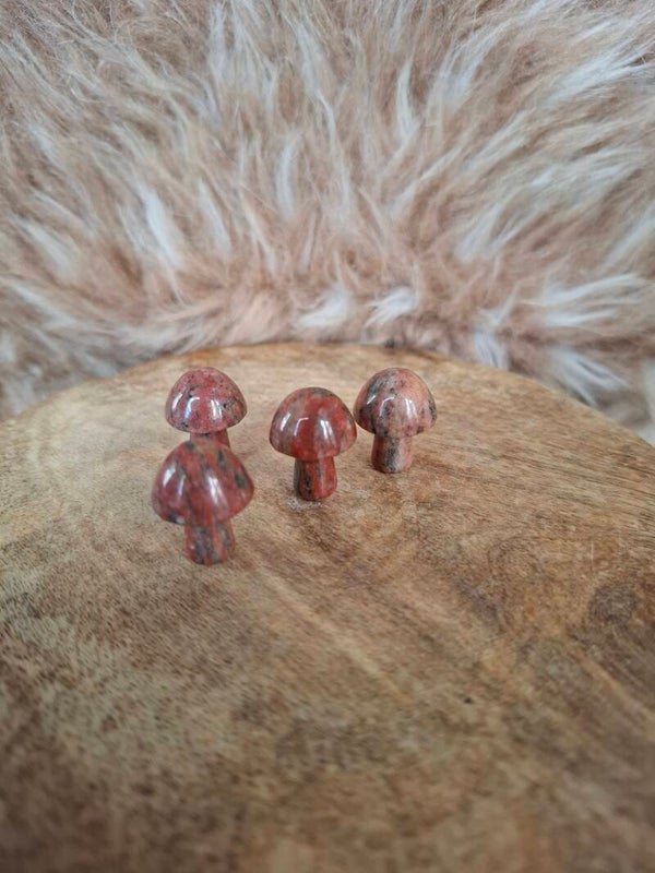 Breccie jaspis paddestoel mini