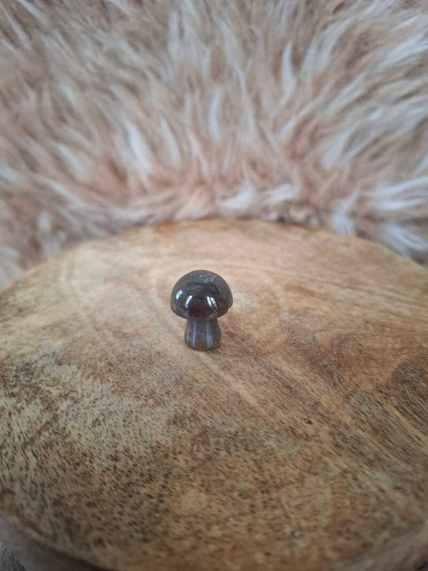 Indian agaat paddestoel mini