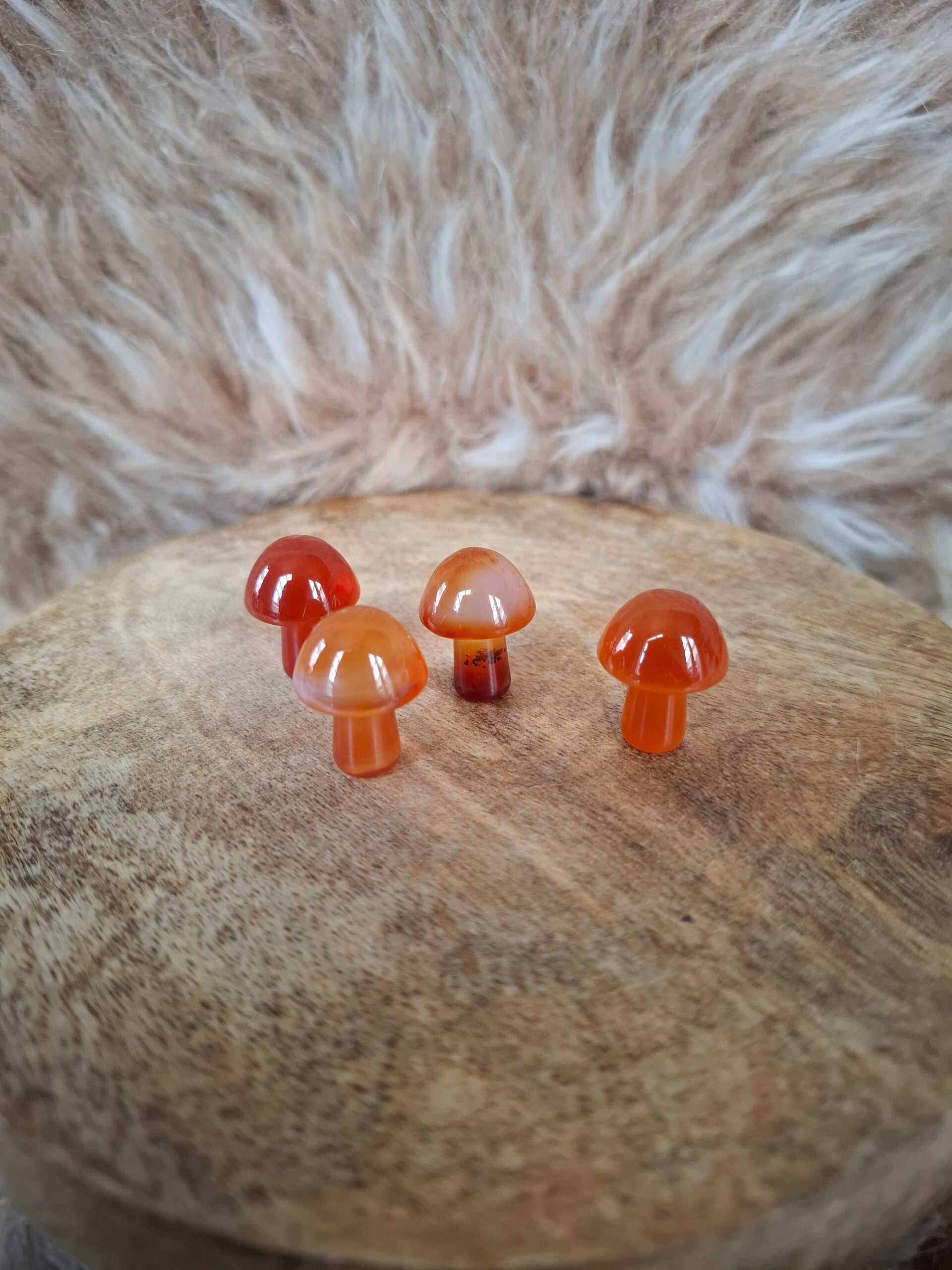 Carneool paddestoel mini